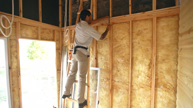 Best Soundproof Insulation  in Tool, TX